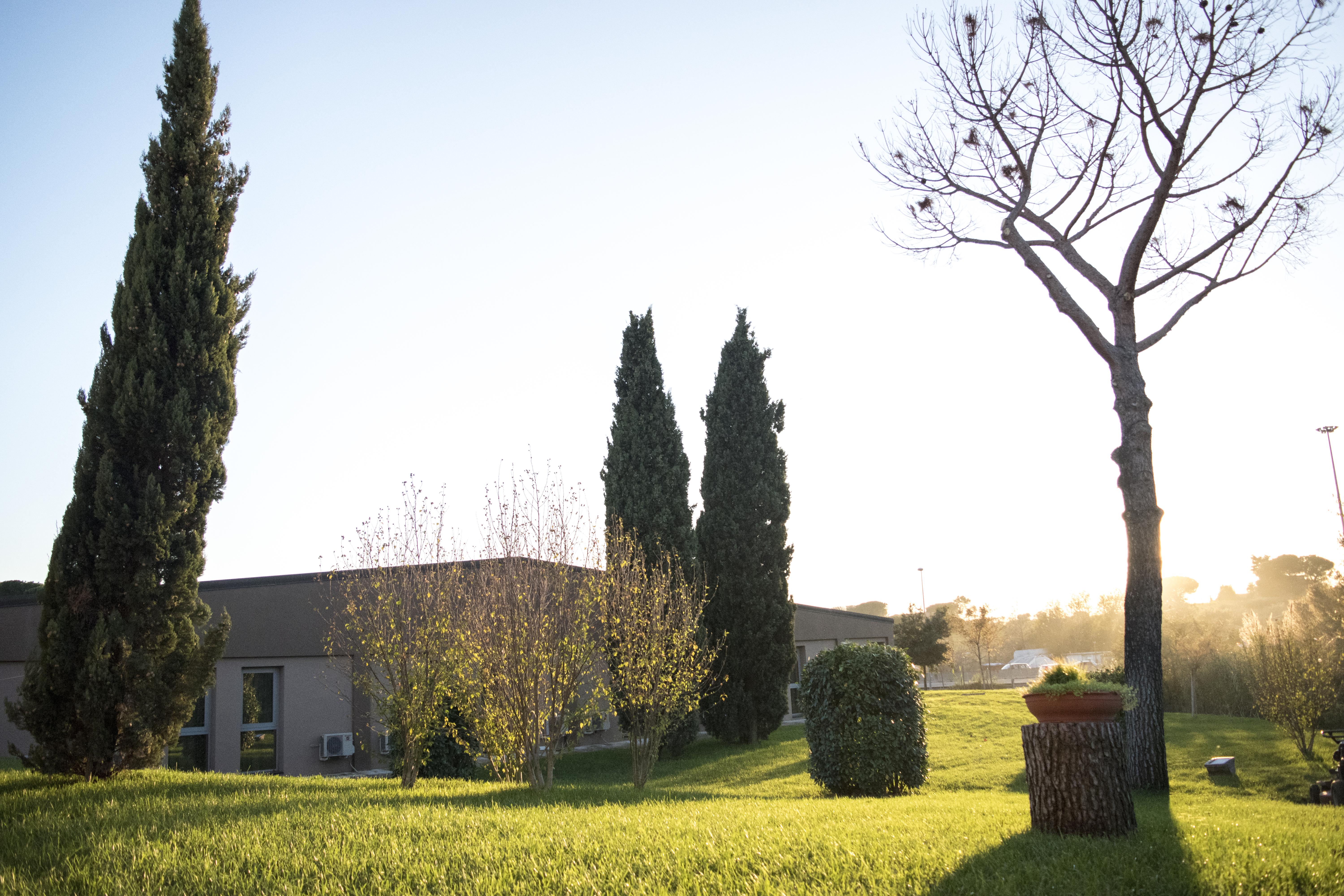 Hotel Roma Sud Frascati Exterior photo